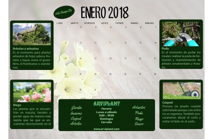Calendario actividades ENERO para el jardín 
